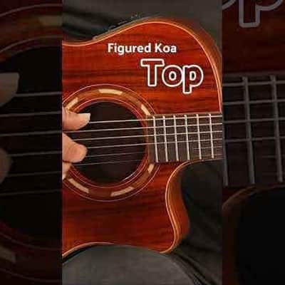 Washburn G55CE Comfort Koa Grand Auditorium Acoustic/Electric Guitar Restock Deal image 4