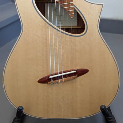 Paul McEvoy Guitars 'Dali' 7 String Multiscale Nylon String Classical Guitar 2024 - Sitka/Pau Rosa image 3