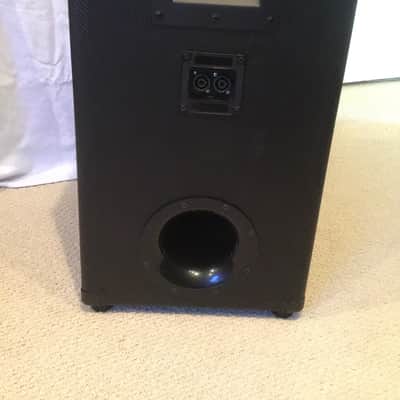 Low Down Sound 12” 3-way with Eminence long throw woofer 2020 Black carbon fiber image 3