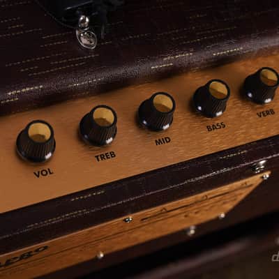 Supro Delegate Custom Combo Bild 8