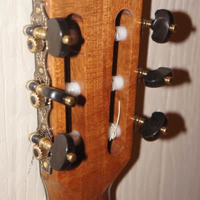Darren Hippner Birdseye Classical Guitar Torres 2021 B Stock image 7