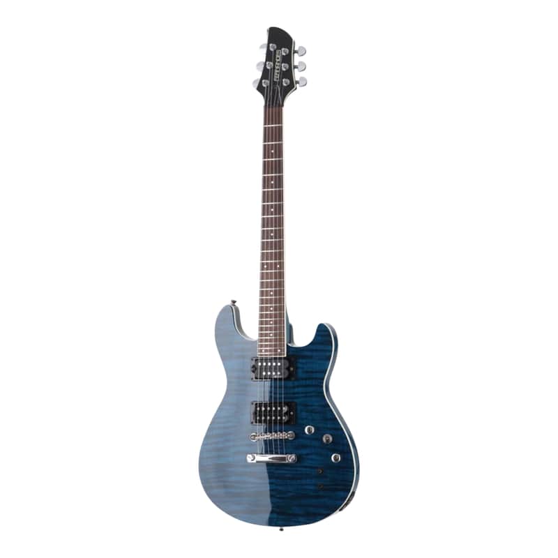Fernandes APG-55S Dragonfly Sustainer image 1