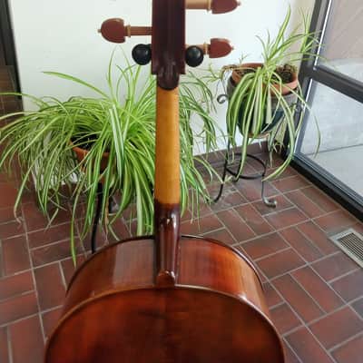 New Cedar Music Model CD 4/4 Full Size Cello - Oil Varnish with Bow, Rosin, Bag and Warranty image 6