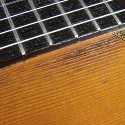 Ventura Bruno Royal Artist Model 1600F Flamenco Acoustic Guitar W/Case image 9