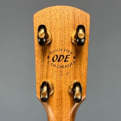 Ode Fretless Walnut Magician Nylon 5-String Openback Banjo 12" image 25