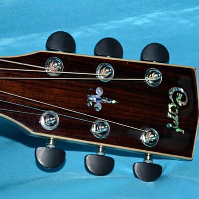 Cort MR-AS4 Acoustic Electric, Fishman Prefix Plus-T, Cort Hard Shell Case image 7