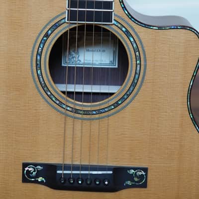 Larrivee LV-10 E 2002 - Mint image 15
