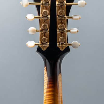Gibson Sam Bush Master Model F5 2005, Sunburst image 9