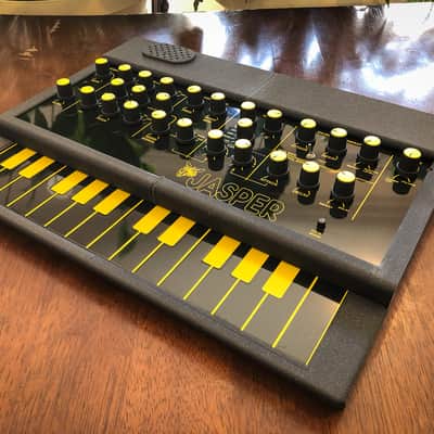 Jasper Synth DP WASP clone with 3D printed enclosure and desktop stand image 4