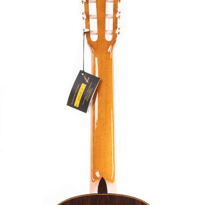 Estevé Alegria - All solid wood - Lattice Braced, Spruce/Indian Rosewood image 12