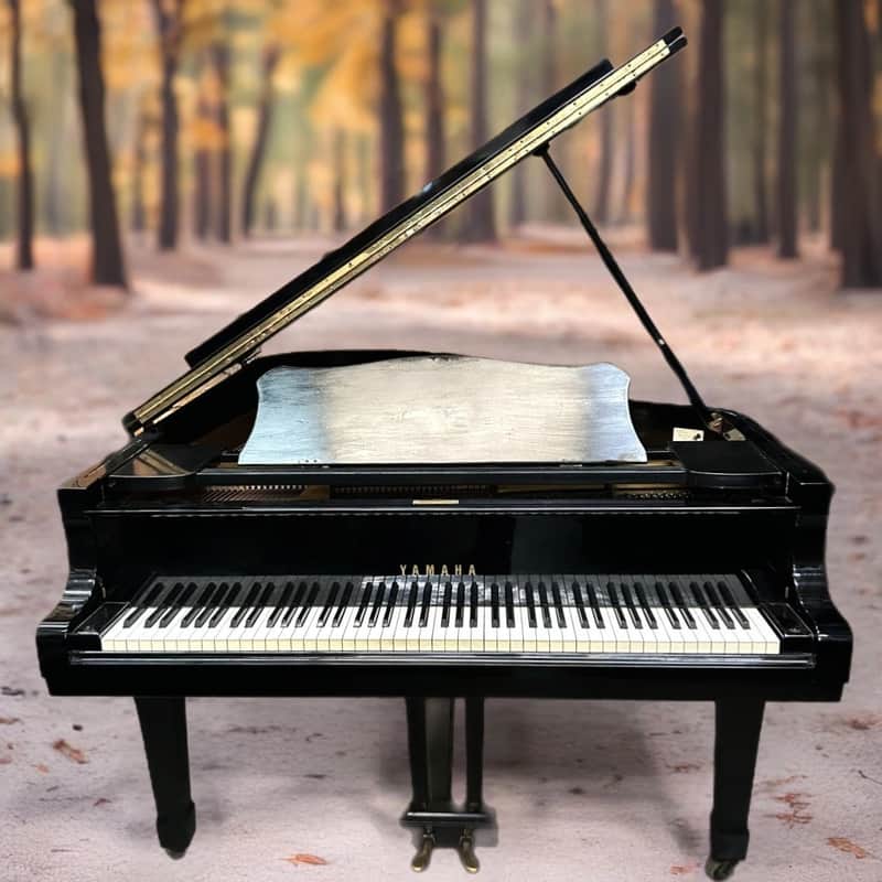 Yamaha G5 Grand Piano 6'6" Ebony Polish Excellent Condition image 1