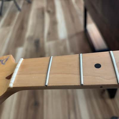 Yamaha MS1511 PAC Pacifica Mike Stern 2000 - Natural image 5