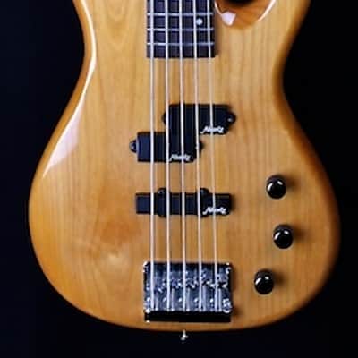 Alvarez Villain Series 5-String bass 1996 image 6