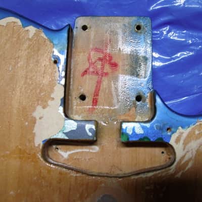 Real Fender Telecaster 1968 Blue Floral Body & Pickguard - Rarest Tele Model & Pickguard Ever? image 4