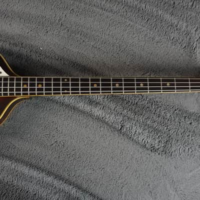 Greco Violin Bass Vintage - Sunburst Semi-Hollow Lefty image 12