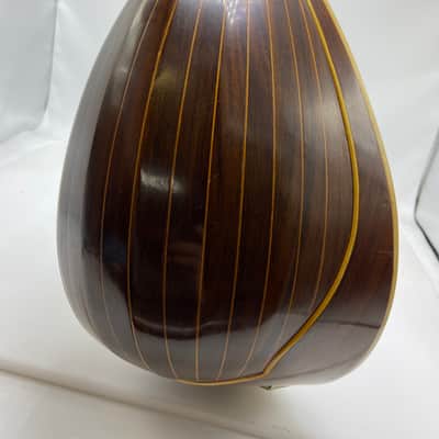 Lyon & Healy Beatle Back Mandolin Bowl Back image 13