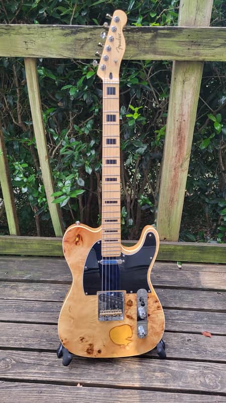 Partscaster Tele 2022 image 1