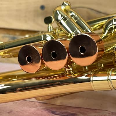 Carol Brass Taylor Phat Puppy Flugelhorn image 7