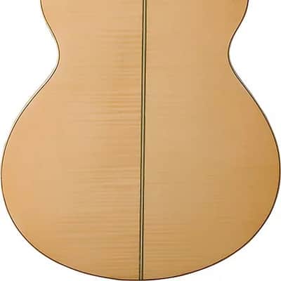 Washburn EA20 Festival Series Florentine Cutaway Flame Maple Top 6-String Acoustic-Electric Guitar image 7