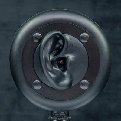 3Dio FS Pro II Binaural Microphone (ex. VAT) image 3