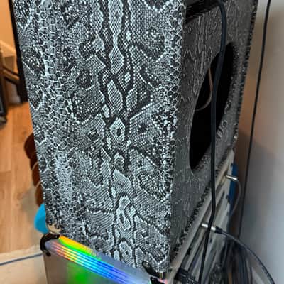 Amplified Nation Ampliphonix and Gain 22-watt 1 x 12-inch Amplifier Combo - Snakeskin image 3