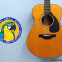 Yamaha FSX5 Red Label Concert Acoustic-Electric Guitar, Natural Matte