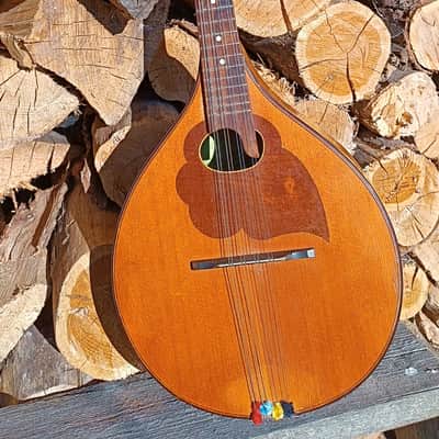 Vintage Czechoslovakia Cremona Luby mandolin 1960s image 2