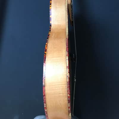 Soli / Hanika Record archtop guitar 50s - German vintage image 12