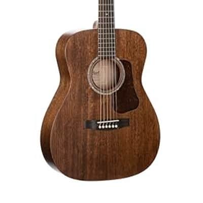 Gibsonセミハードケース付き！TOKAI Cat's Eyes Gibsonセミハードケース付き！TOKAI Cat's Eyes Gibsonセミハード