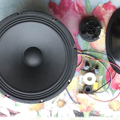 Wharfedale S12m Monitor (Driver/horn/woofer/x-over) image 2