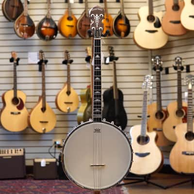 Gold Tone IT-250 11" Irish Tenor Banjo w/Hard Case image 4