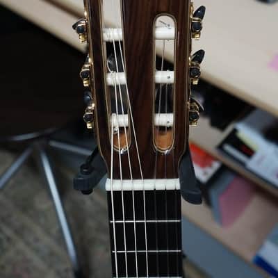 Giannini Asturias 7 String Classical Guitar with - Handcrafted in Brazil - GNC4/7 image 6