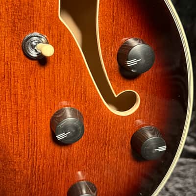 D'Angelico Premier DC Brown Burst With Free Gig Bag image 5