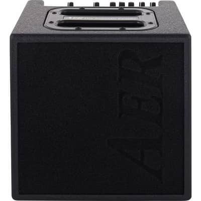 AER Alpha | 2 chnl 40-Watt 1x8" Acoustic Guitar Combo. New with Full Warranty! image 2