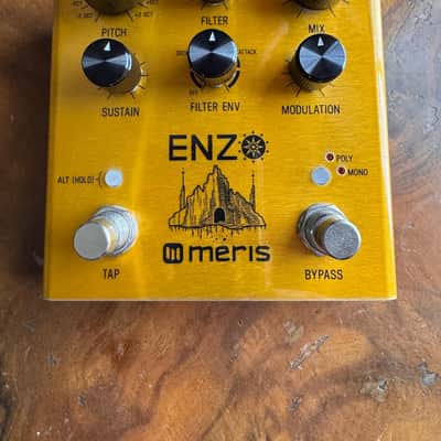 Meris Enzo 2018 - Boxed in excellent condition image 1