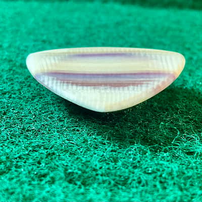 Seashell guitar pick-1.5mm, Triangle profile… by BeachSidePicks image 4