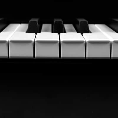 Mellotron M4000D Keyboard with 100 Mellotron and Chamberlin Sounds - Black image 15