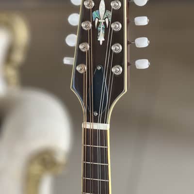 Fender Monterey Standard Satin Black image 18