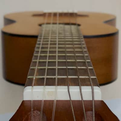 Yamaha Guitalele w/ pro LR Baggs FIVE.O Pickup - GL-1 6-String Ukulele image 16