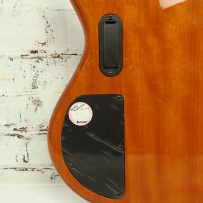 2010 Ibanez GIO GSR200FM 4-String Active Electric Bass Flamed Maple Amber Burst image 11