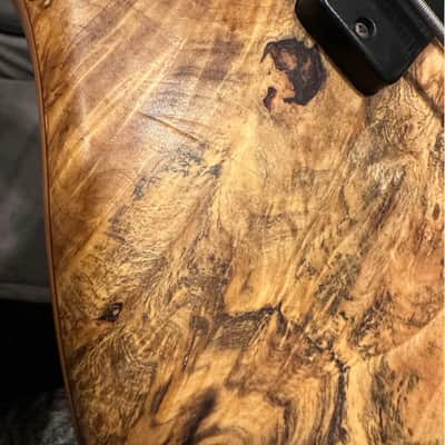 Elrick Gold Series 2004 - Burled Maple image 9