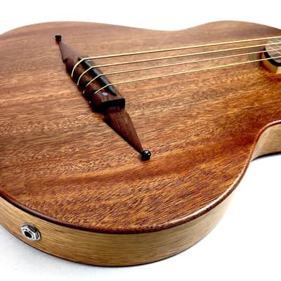 Immagine Rick Turner Renaissance RB4 Studio Special Fretless Bass 2016 Satin Mahogany - 6