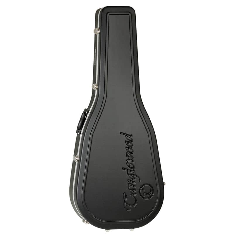 Tanglewood Molded Case for Folk and Orchestra Acoustic Guitars image 1