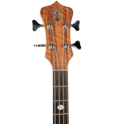 VINTAGE 1982 ALEMBIC SERIES 1 WITH CASE, POWER SUPPLY, AND ORIGINAL BILL OF SALE image 4
