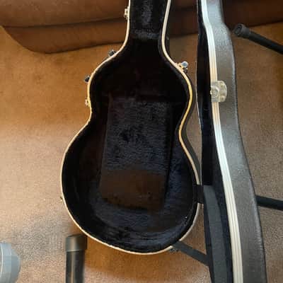 Agile AS820 12 String Semi-hollow Electric Guitar image 10