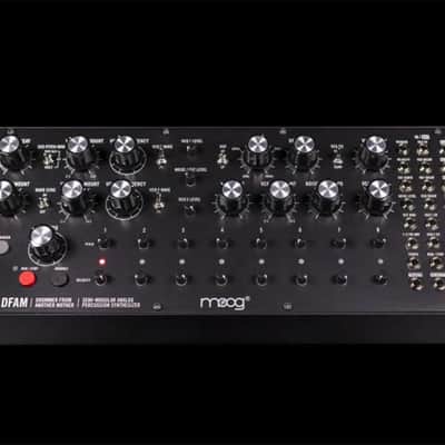 Moog Music DFAM (Drummer From Another Mother) image 6