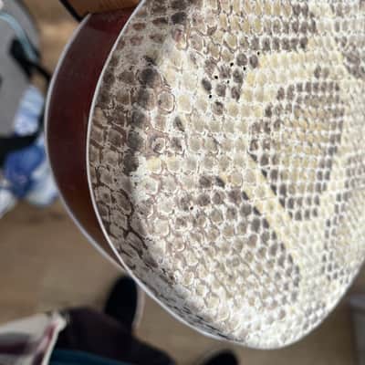 Mongolian Shanz/Shadruga (like Sanxian/Shamisen) – Fretless Folk Banjo image 19