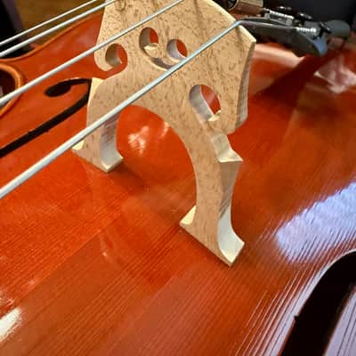 Full Size 4/4 Handmade Burak Cello 2020 - Natural image 18