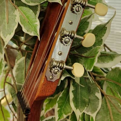 Gibson C-0 Classic Guitar 1964 - Natural - Kalamazoo, USA image 9