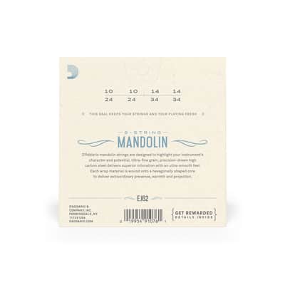 D'Addario EJ62 80/20 Bronze Mandolin Strings, Light, 10-34 image 2